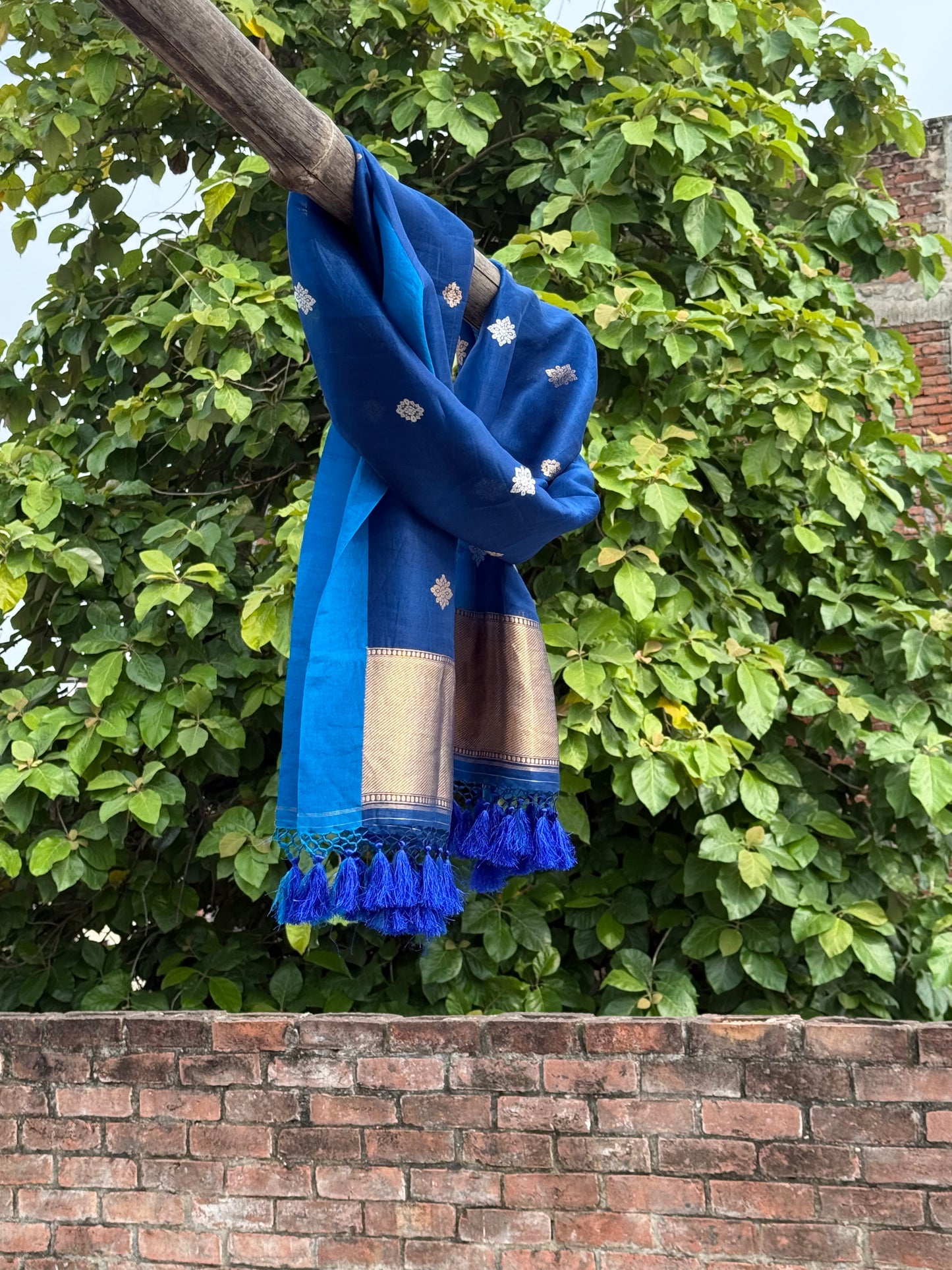 HANDWOVEN GERMAN COLOR ORGANA DUPATTA