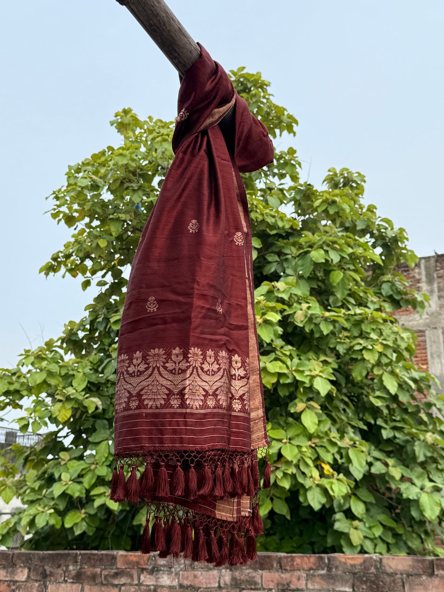 HANDWOVEN COLA COLOR RAW SILK DUPATTA